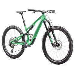 Specialized Stumpjumper 15 Expert 2025